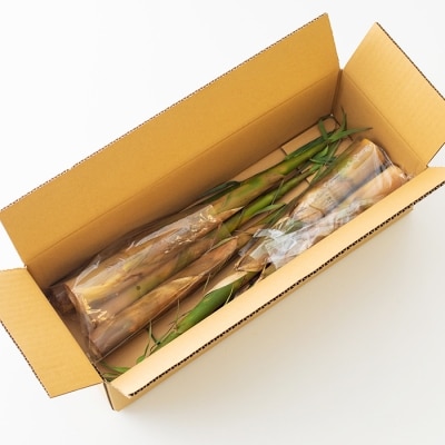 【数量・期間限定】宮崎県高原町産大名たけのこ約2kg　TF409