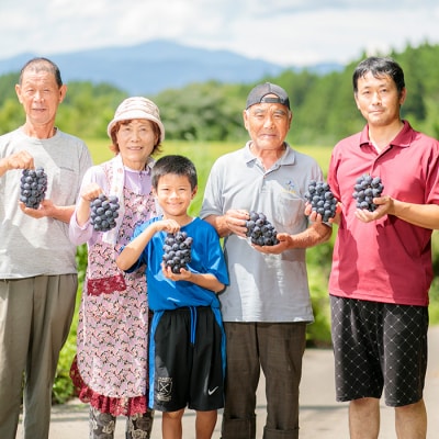 【数量限定】久保ぶどう園の高原町産ニューピオーネ(約2kg)[宮崎県産 3～4房 湧水]　TF273
