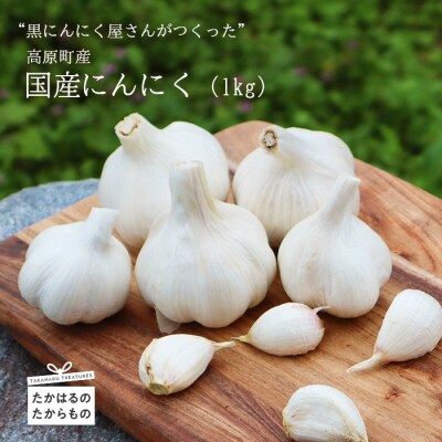 高原町産にんにく　特産品番号566