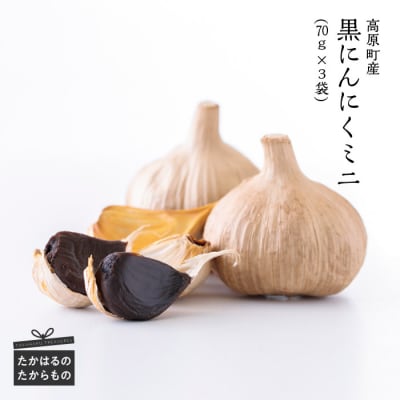 黒にんにくミニ　特産品番号351