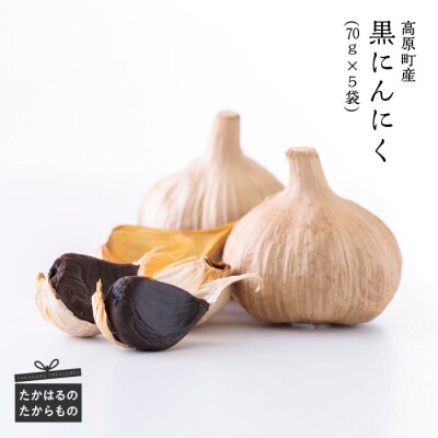 黒にんにく　特産品番号350