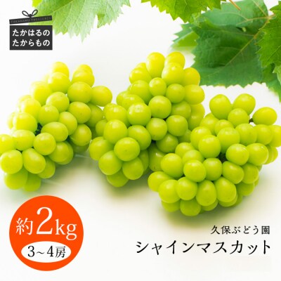 久保ぶどう園のシャインマスカット(約2kg)　特産品番号394 | ふるさと納税のお礼品