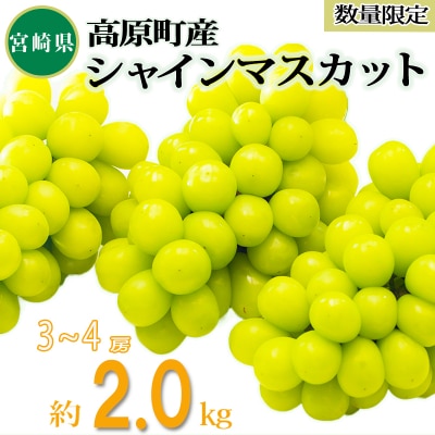 久保ぶどう園の高原町産シャインマスカット(約2kg)[宮崎県産 3～4房 湧水育ち]　TF394