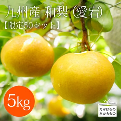 【数量限定】九州産 和梨「愛宕(あたご)」 5kg(6個～10個)　TF312
