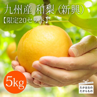 【数量限定】九州産 和梨「新興(しんこう)」 5kg(10個～15個)　TF326