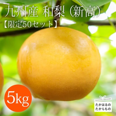 【数量限定】九州産 和梨「新高(にいたか)」 5kg(7個～10個)　TF313