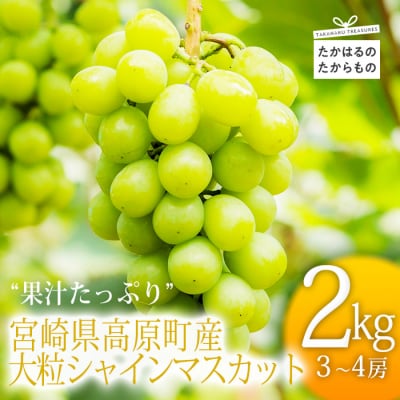 【数量限定】みやざきの太陽を浴びて育った宮崎の大粒シャインマスカット2kg　sk-581