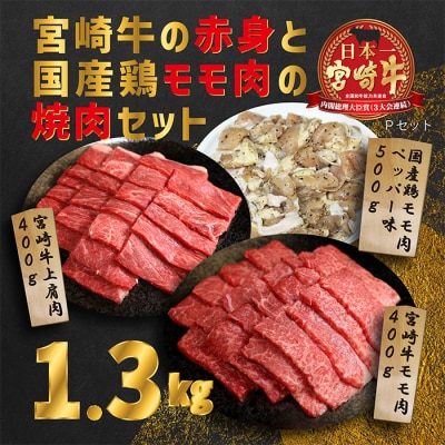 大満足焼肉Pセット 1.3kg 　TF580