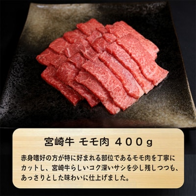 大満足焼肉Pセット 1.3kg 　TF580