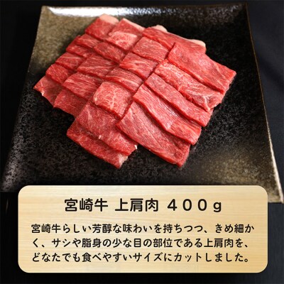 大満足焼肉Pセット 1.3kg 　TF580