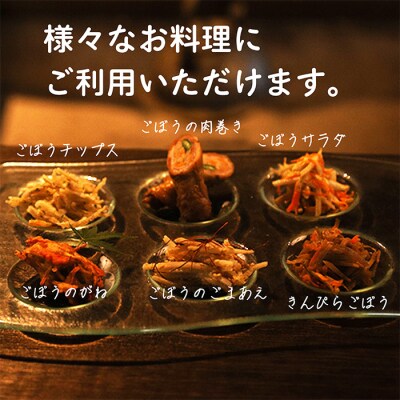 宮崎県産ごぼう千切り 大容量10kg　特産品開発587