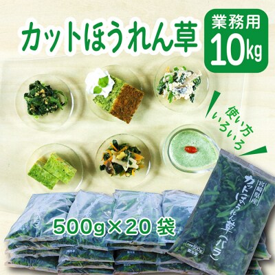 宮崎県産ほうれん草 大容量10kg　特産品開発590