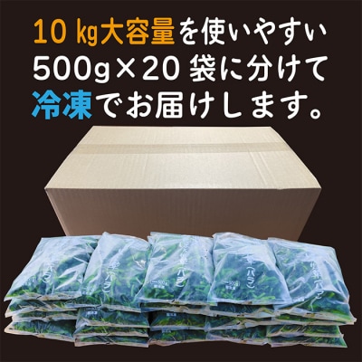 宮崎県産ほうれん草 大容量10kg　特産品開発590