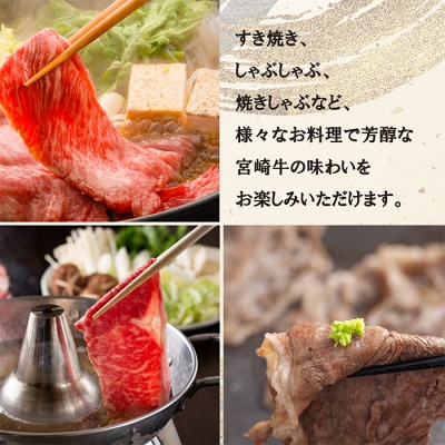 宮崎牛すき・しゃぶ用赤身&霜降りスライス(700g)　特産品番号614