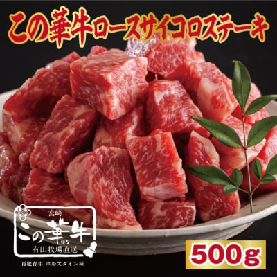 有田牧場直送  薬剤不使用 この華牛サイコロステーキ500g TF618