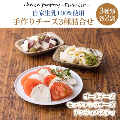 チーズ工房フェルミエ自家製チーズ3種詰め合わせ〔モッツァレラ ゴーダ アンティパスティ〕　TF620