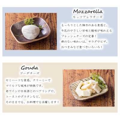 チーズ工房フェルミエ自家製チーズ3種詰め合わせ〔モッツァレラ ゴーダ アンティパスティ〕　TF620