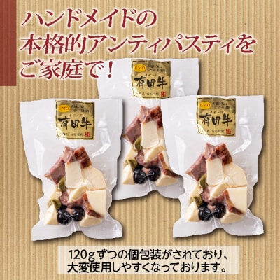 チーズ工房フェルミエ アンティパスティ　TF622