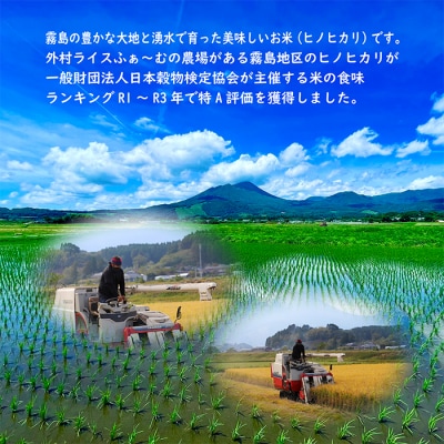 ヒノヒカリ玄米パックごはん150g×10パック　hr-645