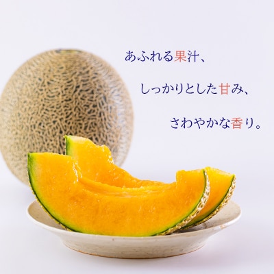【期間限定】宮崎県産アールスメロン「めろめろメロン」3L×2玉 [糖度14度以上] 　TF661