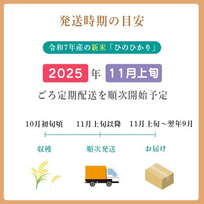 【先行受付令和7年産】「きりしまのゆめ」ヒノヒカリ6か月奇数定期便6kg×6回　gm-633