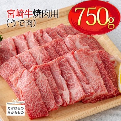 宮崎牛焼肉(うで肉)750g　km-569