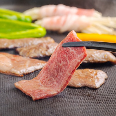 宮崎牛焼肉(うで肉)750g　km-569