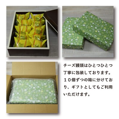 ケーキハウスくるみの里 クルミチーズ饅頭20個　TF636