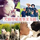 【返礼品なし】宮崎県高原町 犬猫等愛護活動 犬と猫と人に住みよい共生社会づくりを応援 sm-3001