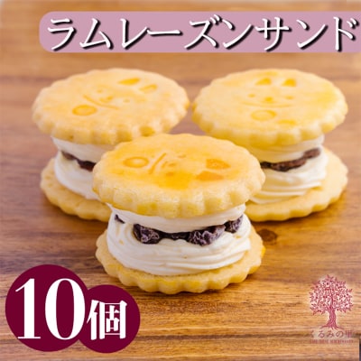 ケーキハウスくるみの里のラムレーズンサンド 10個　TF405