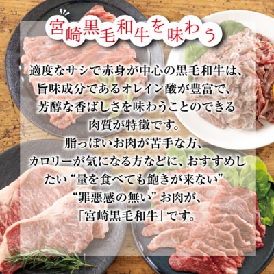 【宮崎県産】黒毛和牛Aセット1kg[ステーキ スライス 切り落としの3点セット] TF561