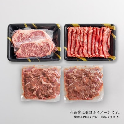 【宮崎県産】黒毛和牛Aセット1kg[ステーキ スライス 切り落としの3点セット] TF561