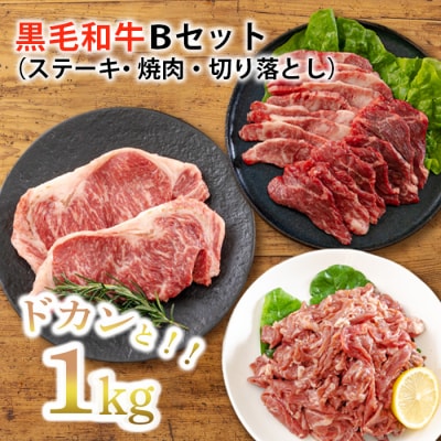 【宮崎県産】黒毛和牛Bセット1kg[ステーキ 焼肉 切り落としの3点セット] TF562