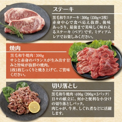 【宮崎県産】黒毛和牛Bセット1kg[ステーキ 焼肉 切り落としの3点セット] TF562