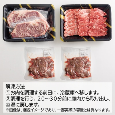 【宮崎県産】黒毛和牛Bセット1kg[ステーキ 焼肉 切り落としの3点セット] TF562