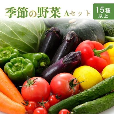 高原町の季節の野菜詰め合わせセットA(15種以上) ll-668