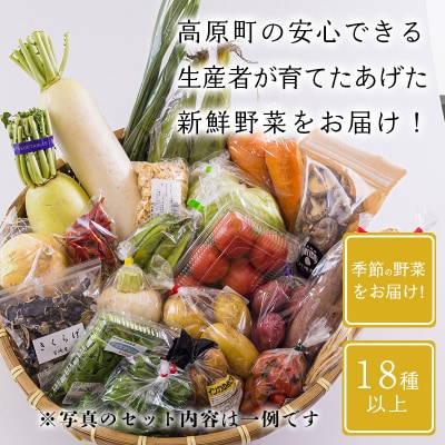 高原町の季節の野菜詰め合わせセットB(18種以上)　ll-669