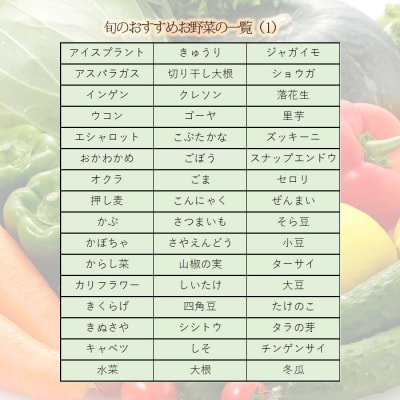 高原町の季節の野菜詰め合わせセットB(18種以上)　ll-669