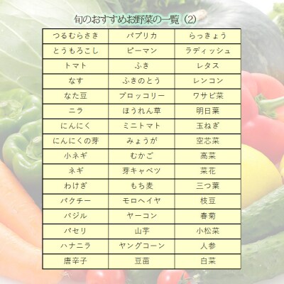 高原町の季節の野菜詰め合わせセットB(18種以上)　ll-669