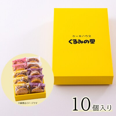 ケーキハウスくるみの里の生チョコバターサンド 10個 　TF644