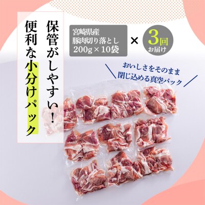 定期便3ヶ月『宮崎県産豚肉切り落とし』 合計6kg　mi-686 　