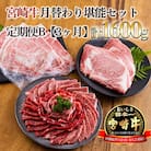 宮崎牛月替わり堪能セット定期便B[3ヶ月] 合計1600g　mi-690