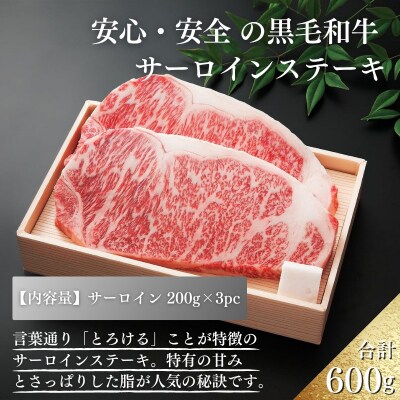 厳選 江田和牛サーロインステーキ600g(200g×3枚)　TF695
