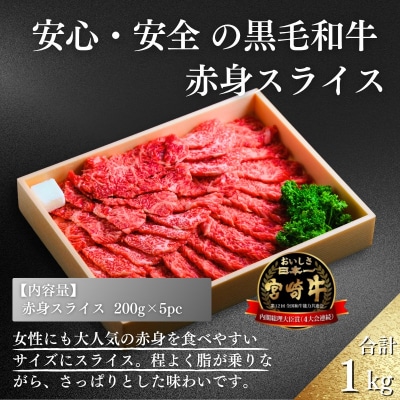 厳選 江田和牛赤身スライス 1.0kg(200g×5p)　TF714
