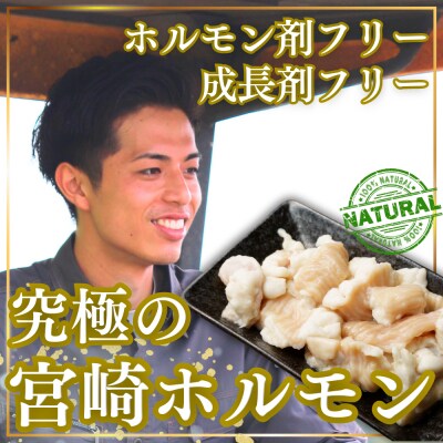 宮崎牛ホルモンセット800g　ed-717