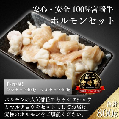 宮崎牛ホルモンセット800g　ed-717