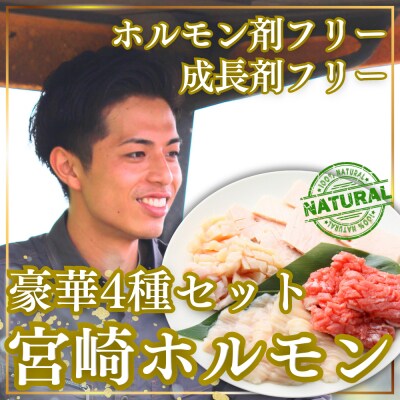 宮崎牛ホルモン4種セット800g　ed-718