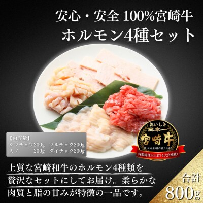 宮崎牛ホルモン4種セット800g　ed-718