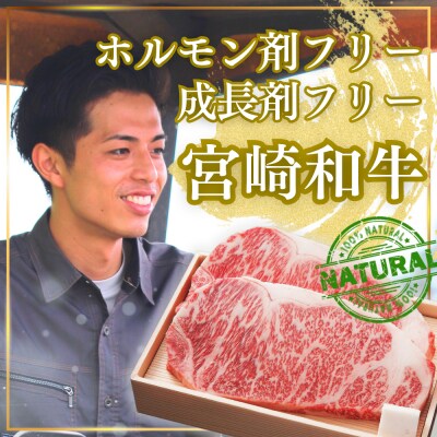 宮崎牛サーロインステーキセット1.0kg　ed-710