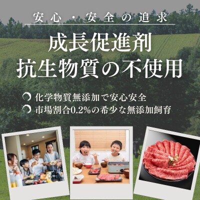 厳選 江田和牛 霜赤スライス1kgセット(ソトモモ&肩ロース) TF697